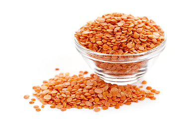 Image showing Bowl of uncooked red lentils