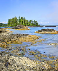 Image showing Coast of Pacific ocean, Vancouver Island, Canada