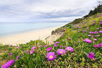 Image showing Mediterranean landscape