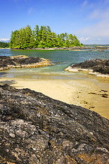 Image showing Coast of Pacific ocean, Vancouver Island, Canada