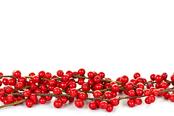 Image showing Red Christmas berries border