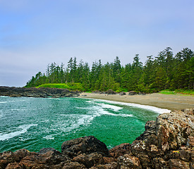 Image showing Coast of Pacific ocean in Canada