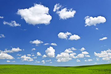 Image showing Green rolling hills under blue sky