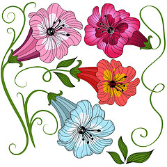 Image showing Set isolated flowers