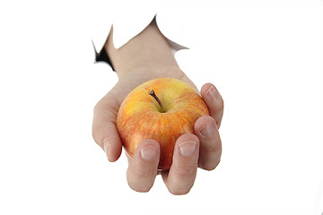Image showing hand is holding a apple 
