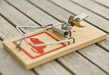 Image showing mousetrap