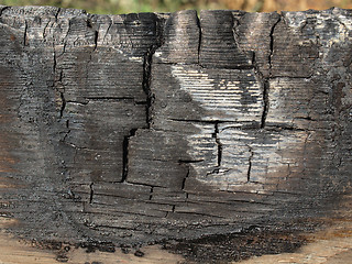Image showing Burned wood