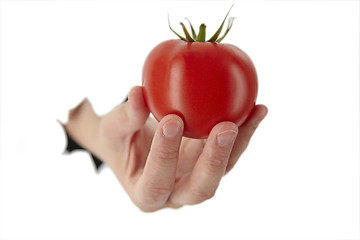 Image showing hand is holding a tomato