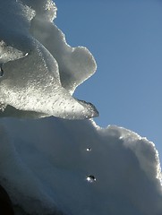 Image showing Falling drops