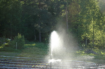 Image showing Irrigation