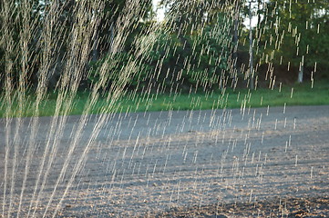 Image showing Irrigation 2