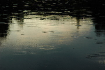 Image showing The first raindrops