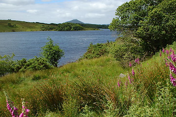 Image showing irish landscape