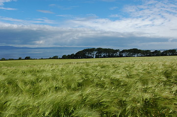 Image showing Irish Landscape