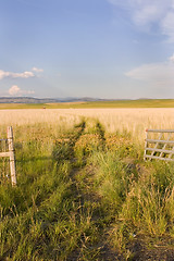 Image showing Open Gate to a Field with Clear Skies and a Small Shed