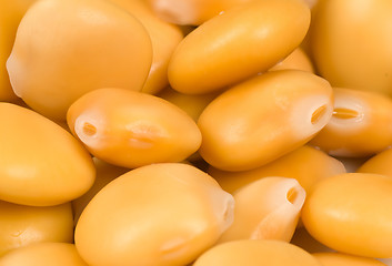 Image showing Lupin beans