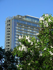 Image showing skyscraper in spring