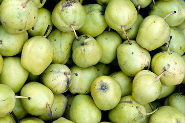 Image showing Pears