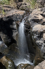 Image showing Agasthiyar falls