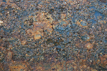 Image showing Rust