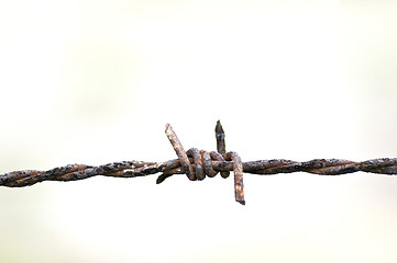 Image showing barbed wire