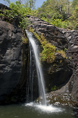 Image showing Agasthiyar falls