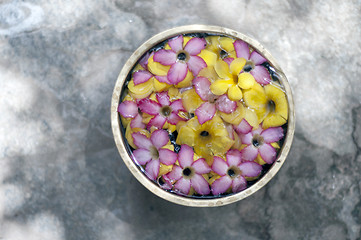 Image showing frangipani flowers