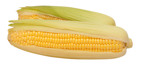 Image showing Corn Cobs