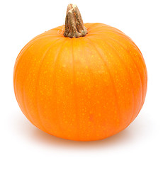 Image showing Pumkin