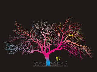 Image showing Magic Tree
