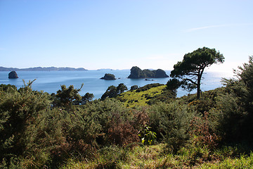 Image showing Coromandel, New Zealand