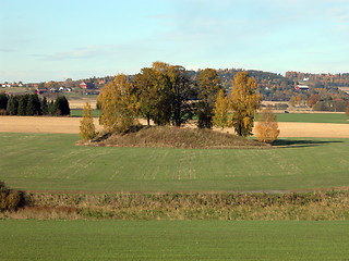 Image showing Viking mound