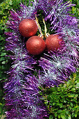 Image showing Christmas Decorations on Tropical Plant