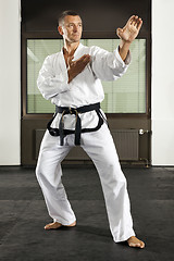 Image showing martial arts master