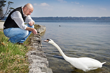 Image showing old man and swan