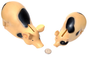 Image showing Two pigs have found a coin