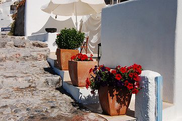 Image showing Pot flowers in the yard