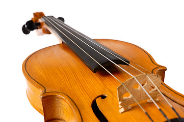 Image showing Violin