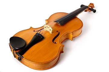 Image showing Violin