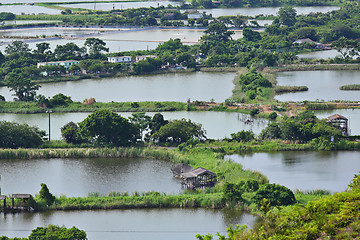 Image showing Fish Hatchery Pond