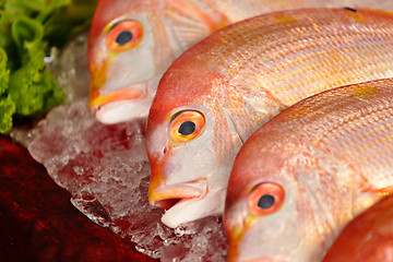 Image showing fish for sale