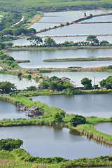 Image showing Fish Hatchery Pond