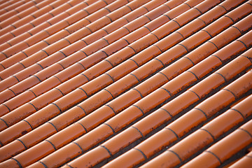 Image showing Chinese temple roof