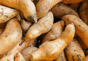 Image showing Organic sweet potatoes at market