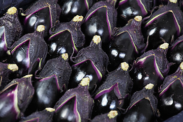 Image showing egg plants