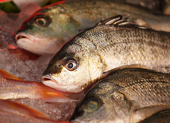 Image showing fish for sale