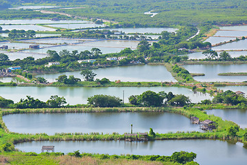 Image showing Fish Hatchery