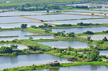 Image showing Fish Hatchery