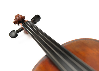 Image showing violin head