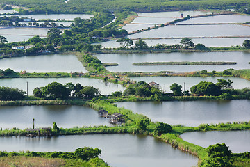 Image showing Fish Hatchery Pond